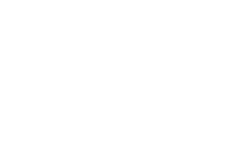 St George Insurance White Logo